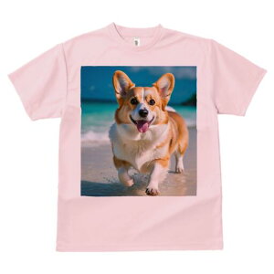 R[M[ TVc fB[X t@  t  vg JWA 킢 lԗp h ̃fUC ʔ r[` R[M[ C  x