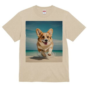 R[M[ TVc fB[X t@  t  vg JWA 킢 lԗp h ̃fUC ʔ r[` R[M[ C  