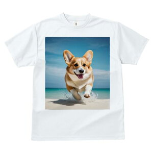 R[M[ TVc fB[X t@  t  vg JWA 킢 lԗp h ̃fUC ʔ r[` R[M[ C  