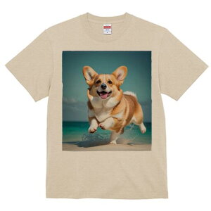 R[M[ TVc fB[X t@  t  vg JWA 킢 lԗp h ̃fUC ʔ r[` R[M[ C l 