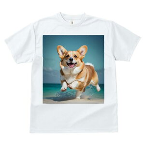 R[M[ TVc fB[X t@  t  vg JWA 킢 lԗp h ̃fUC ʔ r[` R[M[ C l 