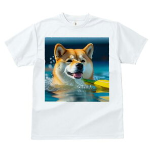 Č TVc fB[X t@  t  vg JWA 킢 lԗp h ̃fUC ʔ  Č Ԃ ph