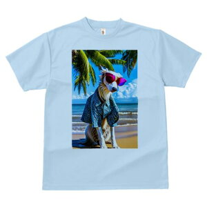 {]C TVc fB[X t@  t  vg JWA 킢 lԗp h ̃fUC ʔ r[` {]C C  ][g