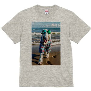 {]C TVc fB[X t@  t  vg JWA 킢 lԗp h ̃fUC ʔ TOX {]C r[` C g