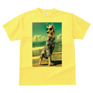 {]C TVc fB[X t@  t  vg JWA 킢 lԗp h ̃fUC ʔ AnVc {]C TOX C r[`