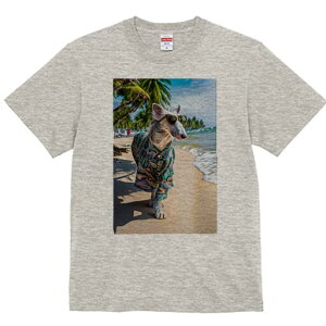 {]C TVc fB[X t@  t  vg JWA 킢 lԗp h ̃fUC ʔ r[` {]C C V̖ 