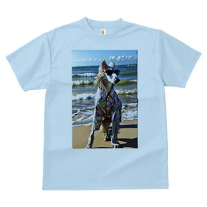 AtKnEh TVc fB[X t@  t  vg JWA 킢 lԗp h ̃fUC ʔ AnVc AtKnEh C r[` TOX