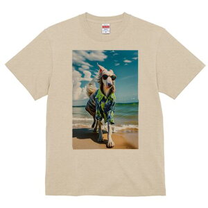 {]C TVc fB[X t@  t  vg JWA 킢 lԗp h ̃fUC ʔ AnVc {]C r[` C TOX