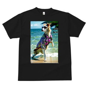 {]C TVc fB[X t@  t  vg JWA 킢 lԗp h ̃fUC ʔ AnVc {]C TOX C r[`