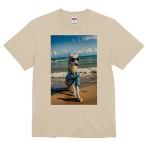 {]C TVc fB[X t@  t  vg JWA 킢 lԗp h ̃fUC ʔ r[` {]C C  _