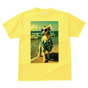 {]C TVc fB[X t@  t  vg JWA 킢 lԗp h ̃fUC ʔ r[` {]C C g l