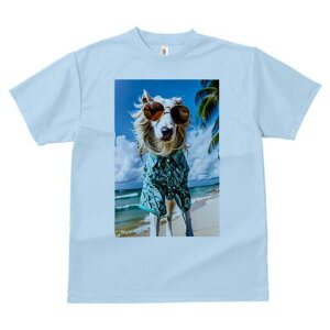 AtKnEh TVc fB[X t@  t  vg JWA 킢 lԗp h ̃fUC ʔ r[` AtKnEh C  _