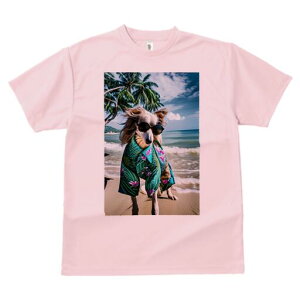 {]C TVc fB[X t@  t  vg JWA 킢 lԗp h ̃fUC ʔ r[` {]C C V̖ TOX