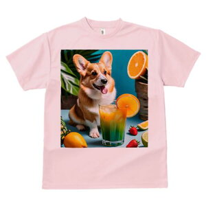 R[M[ TVc fB[X t@  t  vg JWA 킢 lԗp h ̃fUC ʔ IW R[M[ W[X  