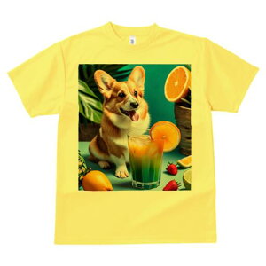 R[M[ TVc fB[X t@  t  vg JWA 킢 lԗp h ̃fUC ʔ IW R[M[ W[X  