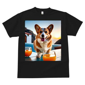 R[M[ TVc fB[X t@  t  vg JWA 킢 lԗp h ̃fUC ʔ W[X R[M[  C ][g