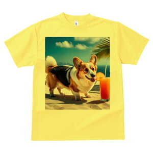 R[M[ TVc fB[X t@  t  vg JWA 킢 lԗp h ̃fUC ʔ r[` R[M[ W[X C l