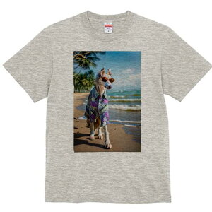 {]C TVc fB[X t@  t  vg JWA 킢 lԗp h ̃fUC ʔ AnVc {]C r[` C TOX