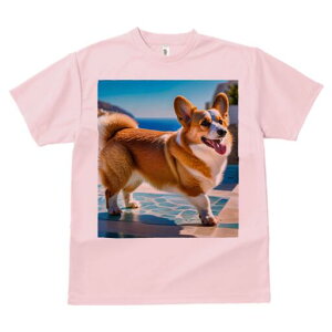 R[M[ TVc fB[X t@  t  vg JWA 킢 lԗp h ̃fUC ʔ C R[M[ 