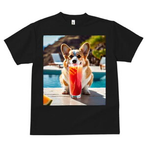 R[M[ TVc fB[X t@  t  vg JWA 킢 lԗp h ̃fUC ʔ v[ R[M[ W[X ][g