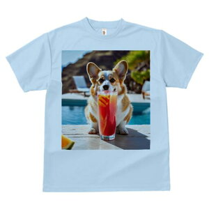 R[M[ TVc fB[X t@  t  vg JWA 킢 lԗp h ̃fUC ʔ v[ R[M[ W[X ][g