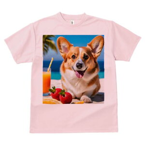 R[M[ TVc fB[X t@  t  vg JWA 킢 lԗp h ̃fUC ʔ r[` R[M[ W[X Xg[ 