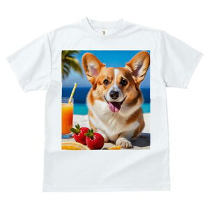 R[M[ TVc fB[X t@  t  vg JWA 킢 lԗp h ̃fUC ʔ r[` R[M[ W[X Xg[ 
