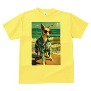 {]C TVc fB[X t@  t  vg JWA 킢 lԗp h ̃fUC ʔ TOX {]C AnVc C r[`