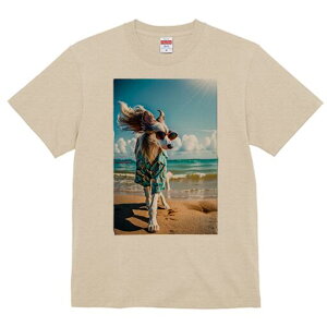 AtKnEh TVc fB[X t@  t  vg JWA 킢 lԗp h ̃fUC ʔ r[` AtKnEh C z TOX