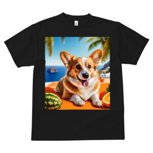 R[M[ TVc fB[X t@  t  vg JWA 킢 lԗp h ̃fUC ʔ C R[M[ r[`  t[c