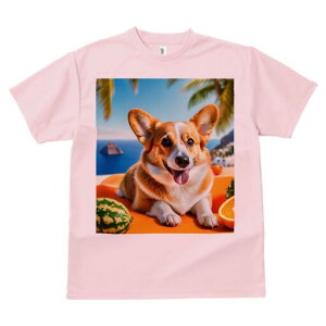 R[M[ TVc fB[X t@  t  vg JWA 킢 lԗp h ̃fUC ʔ C R[M[ r[`  t[c