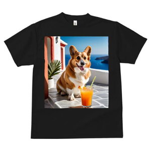 R[M[ TVc fB[X t@  t  vg JWA 킢 lԗp h ̃fUC ʔ ݕ R[M[ C A