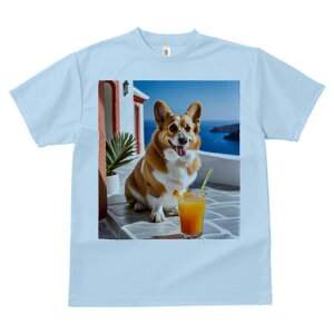 R[M[ TVc fB[X t@  t  vg JWA 킢 lԗp h ̃fUC ʔ ݕ R[M[ C A