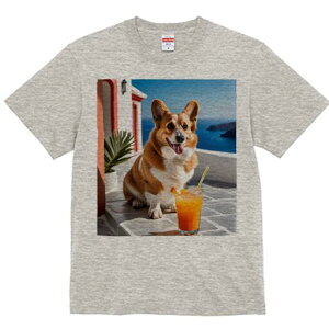 R[M[ TVc fB[X t@  t  vg JWA 킢 lԗp h ̃fUC ʔ ݕ R[M[ C A