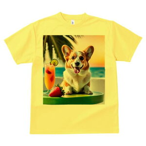 R[M[ TVc fB[X t@  t  vg JWA 킢 lԗp h ̃fUC ʔ JNe R[M[ Xgx[ C r[`