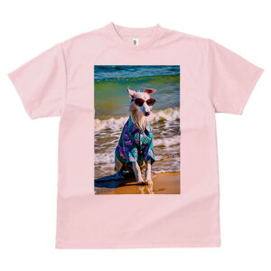 {]C TVc fB[X t@  t  vg JWA 킢 lԗp h ̃fUC ʔ AnVc {]C TOX C l