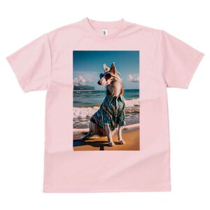 {]C TVc fB[X t@  t  vg JWA 킢 lԗp h ̃fUC ʔ AnVc {]C TOX C r[`