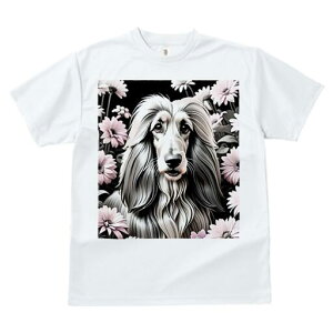 AtKnEh TVc fB[X t@  t  vg JWA 킢 lԗp h ̃fUC ʔ  AtKnEh wi