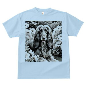 AtKnEh TVc fB[X t@  t  vg JWA 킢 lԗp h ̃fUC ʔ  AtKnEh fCW[