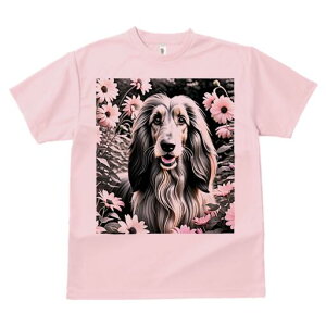 AtKnEh TVc fB[X t@  t  vg JWA 킢 lԗp h ̃fUC ʔ  AtKnEh A