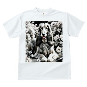 AtKnEh TVc fB[X t@  t  vg JWA 킢 lԗp h ̃fUC ʔ  AtKnEh