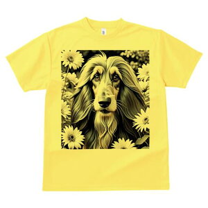 AtKnEh TVc fB[X t@  t  vg JWA 킢 lԗp h ̃fUC ʔ  AtKnEh fCW[