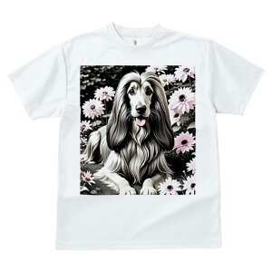 AtKnEh TVc fB[X t@  t  vg JWA 킢 lԗp h ̃fUC ʔ  AtKnEh