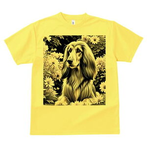 AtKnEh TVc fB[X t@  t  vg JWA 킢 lԗp h ̃fUC ʔ  AtKnEh A