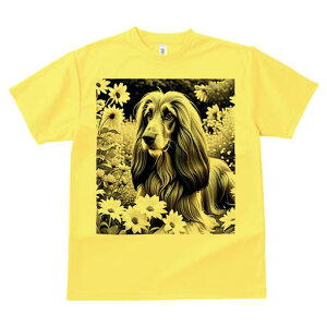 AtKnEh TVc fB[X t@  t  vg JWA 킢 lԗp h ̃fUC ʔ  AtKnEh 