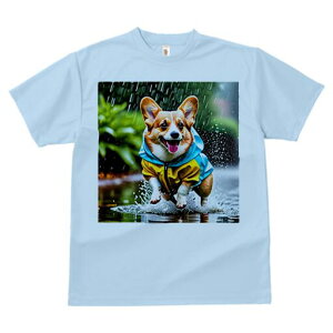 R[M[ TVc fB[X t@  t  vg JWA 킢 lԗp h ̃fUC ʔ J R[M[ CR[g ܂