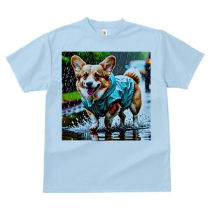 R[M[ TVc fB[X t@  t  vg JWA 킢 lԗp h ̃fUC ʔ J R[M[ CR[g ܂