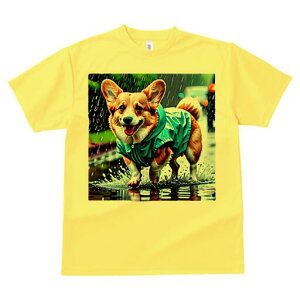 R[M[ TVc fB[X t@  t  vg JWA 킢 lԗp h ̃fUC ʔ J R[M[ CR[g ܂