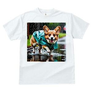 R[M[ TVc fB[X t@  t  vg JWA 킢 lԗp h ̃fUC ʔ J R[M[ CR[g ܂