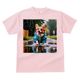 R[M[ TVc fB[X t@  t  vg JWA 킢 lԗp h ̃fUC ʔ J R[M[ CR[g ܂